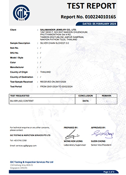 SILVER CHAIN SLCH027-3.0 (2024-02-05)